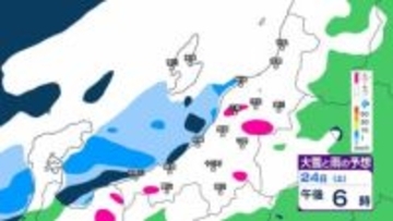 【 新潟の大雪 】平地でも積雪増加　あす25日(日)午後9時までの雪シミュレーションは？（1時間ごと・24日午前10時更新）