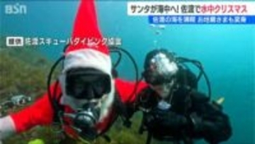 「アジやスズメダイと一緒に…」　サンタやトナカイに扮したダイバーたちが水中クリスマス　新潟・佐渡市