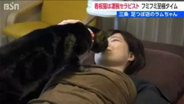 看板猫は隠れ家サロンの“凄腕セラピスト”　ラムちゃんのフミフミは至極タイム　新潟・三条市