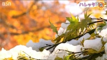 「最高です 紅葉と雪の白さと青空で」妙高の燕温泉に『冬の便り』も5日は最高気温20℃近く 朝晩は“放射冷却”でグッと冷え込む新潟県