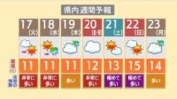 【スギ花粉】20日からの3連休が“ピーク” 21・22日は『極めて多い』新潟県内