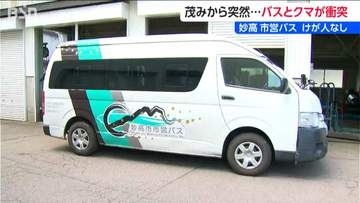 「本当にブレーキを踏む余裕がない状態」クマと市営バスが衝突 バンパーは浮き上がり車体は大きくへこむ　新潟県妙高市