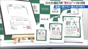 コシヒカリ誕生70年　”新大コシ”へつなぐ未来　岐路に立つ新潟のコメ作りの明日は