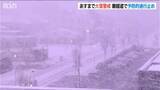 「【新潟の大雪・交通情報】上越・中越の山沿いを中心に雪　12日夕方にかけて最大70cm　磐越道と国道49号の県境区間は「予防的通行止め」」の画像1