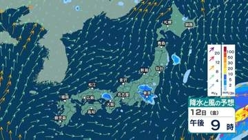 【 今後の雨 】北日本や東日本で激しい雷雨に注意　週明け15日(月)は太平洋側で雨風強まる恐れ【13日(土)～18日(木)午後3時の雨風シミュレーション・13日正午更新】