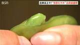 「“おいしい夏 ゆっくり味わって！”ブランド枝豆『弥彦むすめ』出荷最盛期　新潟・弥彦村」の画像1