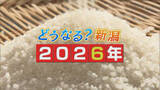 「卵の高値が続く？コメは5キロ3000円台に？ クマ出没やドカ雪は？ 専門家が占う「私たちの生活」【どうなる2026年】」の画像1
