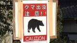 「コース付近でクマ1頭目撃されマラソン大会中断　新潟・柏崎市」の画像1