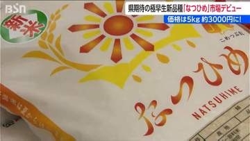 新潟県が開発のコメの新品種『なつひめ』販売開始!  5キロ税込み3002円　お客の反応は？