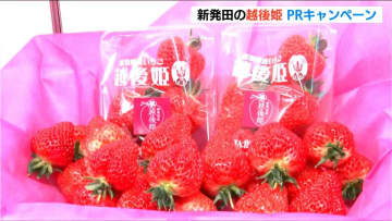 越後姫を㏚『いちご一会めぐり』40店舗が自慢のメニューを販売　新潟・新発田市