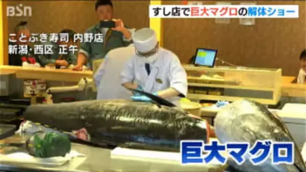 「とろける、とろける」重さ約230kg！すし店で岩手・大船渡産本マグロの解体ショー　新潟・西区