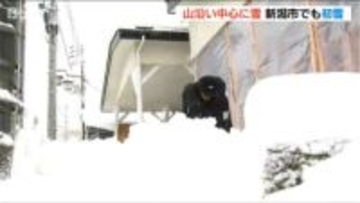 寒波襲来「湯沢町では18センチ」新潟県内は山沿いを中心に雪　新潟市でも3日夜に初雪を観測