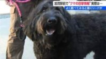 駅前で『クマ騒動』警察も見間違い「いゃ～、ホッとしました！」と加茂市も“訂正情報” よくよく調べてみると首にリードが…　新潟県