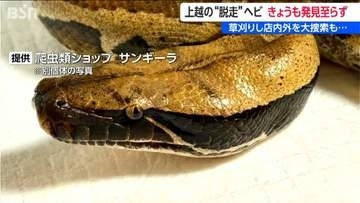 ホームセンターから姿を消した全長1m超のヘビ　警察・店舗の捜索続くも発見には至らず　新潟・上越市
