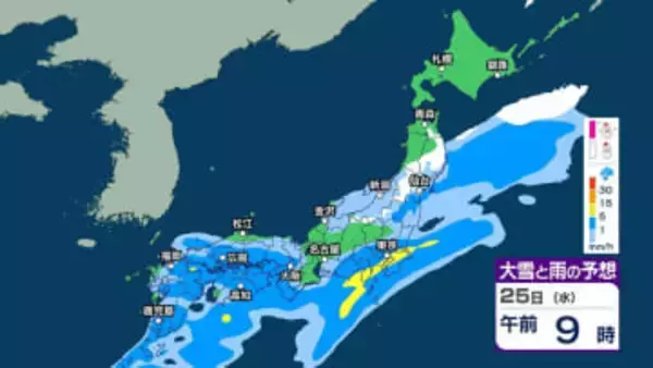【今後の雨や雪は？】あす25日は関東など太平洋側で通勤通学の時間帯に雨脚強まるか　“バケツをひっくり返したような”激しい雨の所も？【3時間ごとのシミュレーション・24日午後9時更新】