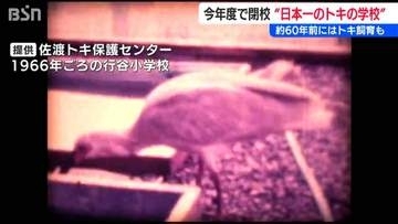 『日本一のトキの学校』年度末の廃校を前に“最後”のトキ授業「別れるのはちょっと寂しい」新潟県佐渡 行谷小学校