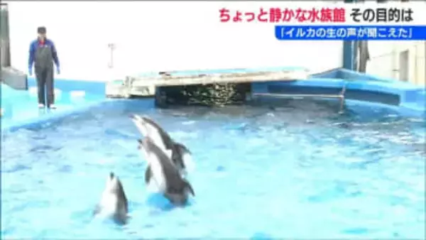 「おさかなもカーカーって聞こえたよ」「聞こえたね」ちょっと静かな水族館　新潟市水族館 マリンピア日本海