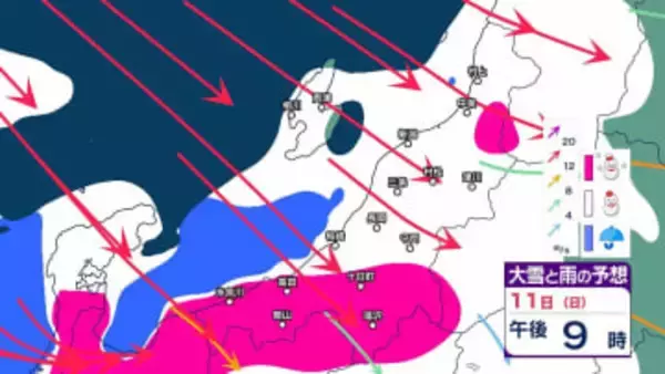 【 新潟の大雪予報 】上越・中越の山沿い中心に平地でも大雪か　12日朝までに上越・中越山沿いで80cm、平地40cm予想【16日午後3時までの雪と風のシミュレーション・11日午前11時更新】