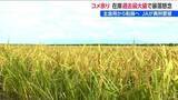「過去最大規模の“コメ余り”でJA新潟中央会 伊藤能徳会長「米の需要と価格が安定するよう」 加工用米などへの転換を訴え」の画像1