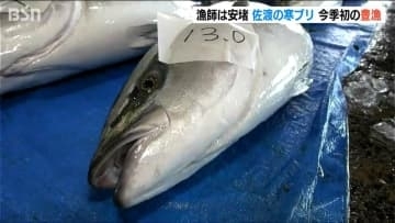 漁師はホッ　新潟県佐渡市で今季初の寒ブリ豊漁　MAXは脂が乗った13キロ