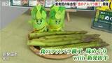 「“太い・甘い・柔らかい ”絶品アスパラを堪能　新発田市で「食のアスパラ横丁味めぐり with 新発田牛」開催　新潟」の画像1