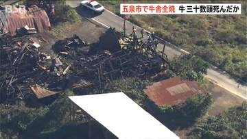 五泉市で牛舎が全焼 逃げ出した1頭除く乳牛30頭以上が死んだとみられる火事 所有者「搾乳機から火が出たか」新潟