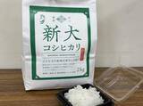 「“暑さ”に強い【新大コシヒカリ】新潟県外で初の栽培へ 福島県天栄村で特任教授と生産者が意見交換 食味コンクールの国際大会にも出品予定　新潟大学」の画像1