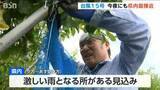 「「なんとか被害防ぎたい」台風15号接近でサッカー場より広い梨果樹園に“防風ネット”「ようやく平年収穫量なので…」新潟・加茂市」の画像1