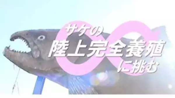 5万5000匹→1400匹に激減 “サケのまち・村上” が挑む世界初の「シロザケ陸上完全養殖」 『好適環境水』で稚魚順調に成長　新潟