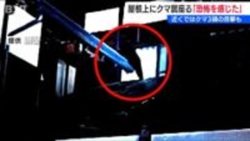 夜クマが民家の屋根上に「恐怖を感じた」近くではクマ3頭の目撃情報も　新潟県南魚沼市
