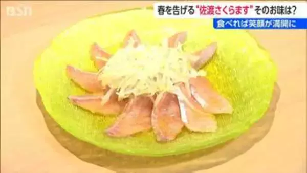 「脂のり抜群！  “黄金の島”佐渡が育んだ高級ブランド魚　「佐渡さくらます」出荷はじまる」の画像