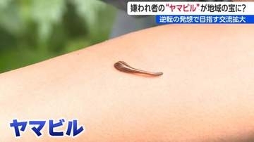 「すごくはまりました」嫌われ者の “吸血鬼” ヤマビル捕獲イベントが人気に　「誰も手をつけていない魅力・宝がある」仕掛け人が語る地域おこし　新潟・阿賀町