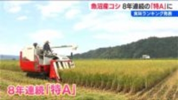 魚沼コシが8年連続で最高ランクの「特A」評価　2025年産コメの食味ランキング