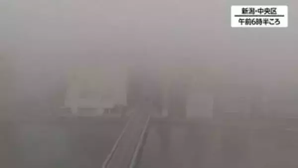 海上からの“暖かい空気”が早朝の霧を呼び 日中は初夏の陽気に　新潟県