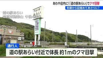 あわや店内に　人気の観光スポット「道の駅あらい」にクマ出没　新潟・妙高市