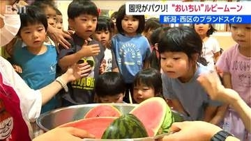 「おいちい」　園児が夢中の食べ比べ 　名前はスイカっぽくない？デビュー4年目のブランドスイカ　その名は『ルビームーン』　新潟・西区