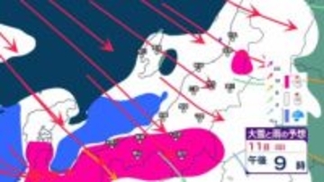 【 新潟の大雪予報 】11日夕方までに上越・中越・下越の平地20cm、山沿い40cm　さらに12日夕方までに上越・中越山沿いで70cm予想【15日までの雪のシミュレーション・10日午後8時更新】