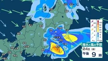【 関東甲信の雨 】多い所で1時間40ミリ　雷を伴った激しい雨の所も　警報級大雨の可能性も【29日(水)午後3時までの雨風シミュレーション・24日正午更新】