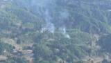 「【速報】　新潟県2か所の山林火災　未明からの雨で火の勢い衰える　長岡市山古志は鎮圧　魚沼市もまもなく鎮圧へ」の画像1