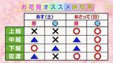 「開花から3日後で新潟市の桜は『満開』高田城址公園では“花火”も満開 お花見に適したタイミングは？新潟県」の画像1