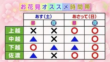 開花から3日後で新潟市の桜は『満開』高田城址公園では“花火”も満開 お花見に適したタイミングは？新潟県
