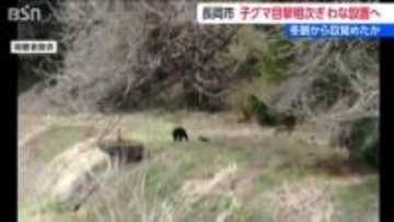 長岡市でクマの目撃相次ぎ捕獲用わなを設置　冬眠から覚め今月だけで12件の目撃情報