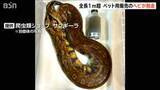 「ホームセンターから全長1m超のヘビ脱走　毒なしもかみつかれる恐れ　近くの公園は一時閉園に　新潟・上越市」の画像1