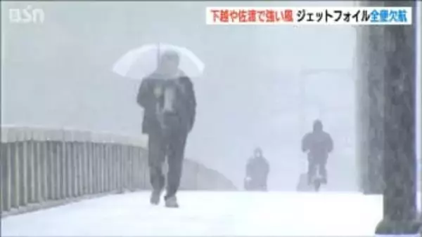 冬型の気圧配置で新潟県内は強い風　気温は前日から10℃ほど下がる見込み　中越では大雪やなだれにも注意【今後の雪と雨のシミュレーション・12日正午現在】