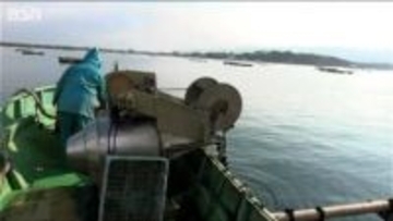 “最高品質”の『佐渡産カキ』広島産の不漁が伝えられるなか1kgあたり3000円での取引 水揚げは4月初旬まで　新潟・佐渡市加茂湖