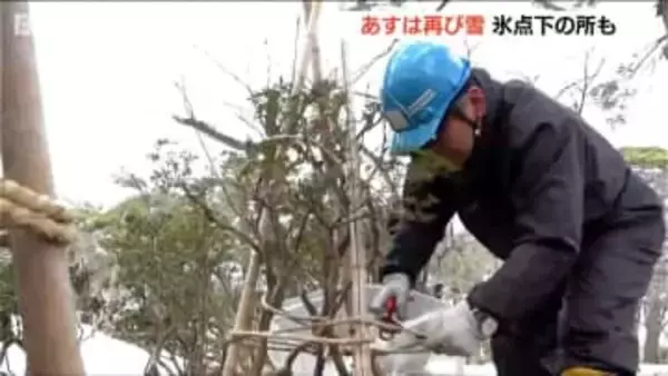 10日の新潟県内は広い範囲で雪の見込み　最低気温も氷点下と冬に逆戻り