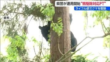 「ライフル銃を使った駆除が可能に」新潟県警がクマ駆除対応プロジェクトチーム運用開始