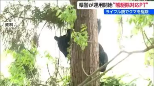 「ライフル銃を使った駆除が可能に」新潟県警がクマ駆除対応プロジェクトチーム運用開始