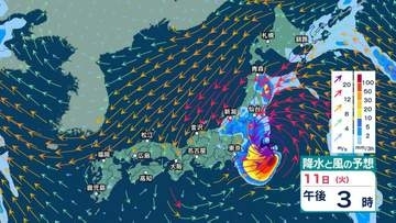 【 今後の雨 】11日は東北～東日本で非常に激しい雨も　暴風・高波に警戒　台風15号は関東甲信へかなり接近・上陸のおそれ【16日(日)午前3時までの雨風シミュレーション・10日午後10時更新】