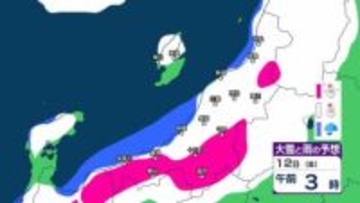 新潟県内は明日10日未明～夕方にかけて落雷や竜巻などの激しい突風、ひょうに注意　12日(金)は平地でも雪か【今後の雨と雪のシミュレーション・9日午後9時更新】